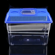 Multipurpose collecting container (large) / Mini fish tank Small fish tank Betta fish tank Marimo aquarium
