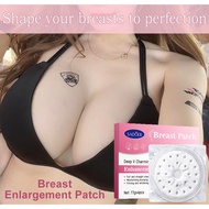 BIOAOUA Permanent Breast Enlargement Patch 17g*4PCS Breast beauty-Enlargement/Whitening/Anti-sagging