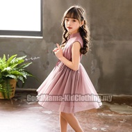 Kids Dress fashion mesh dress dress kids girl dress dress boy girl dress baby girl dress girl s clot