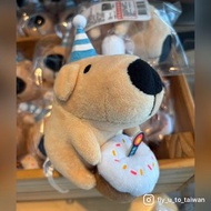 台灣代購🍄生日狗狗 貓貓蟲 咖波 公仔 蛋糕 狗狗 bugcat capoo 咖波屋 代購 毛公仔