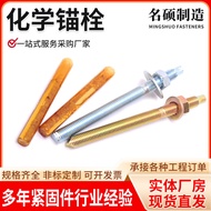 High-Strength Chemical Anchor Bolt Expansion Screw Inverted Tap Shaped Chemical Anchor Bolt Screen W