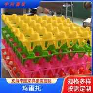 Plastic Egg Tray 42 Egg Trays Egg Tray 30 Egg Trays Egg Tray 42 Egg Tray 60 Egg Tray 63 Egg Tray