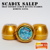 Obat infeksi Jamur Kucing Scabies Salep Koreng Anak Kucing scardix Cream