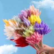 Promo Bunga Lagurus Bunga Kering Lagurus Mahar Craft Seserahan Bunny