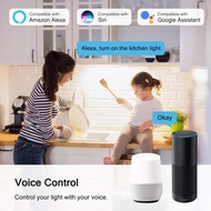 LOHAS LED E14 SES Smart Alexa Light Lighting & Fans, Work with Amazon Alexa, Google Assistant, Siri 