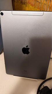 Ipad pro 10.5 inch 256g cellular
