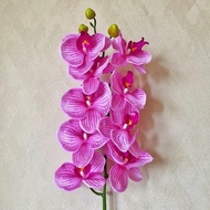 BUNGA ANGGREK LATEX SUPER PREMIUM[ TANPA VAS ] orchid latex bunga
