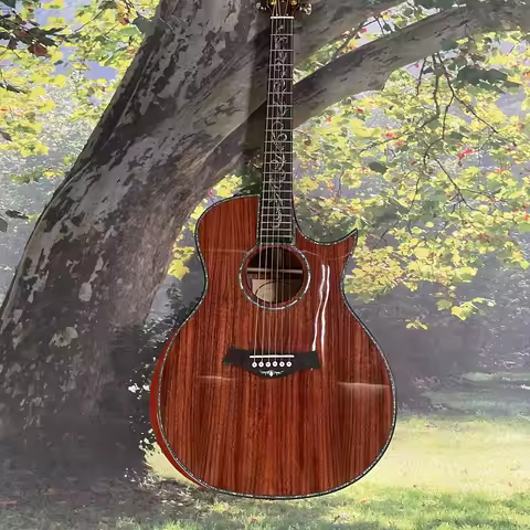 PS14 Taylor Solid Spruce Top Acoustic Electric Guitar Fast Shipping FroM CHINA