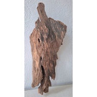 Tanduk Rusa Mounting Board