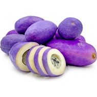 Pokok Buah Akebi Purple Rare dari Jepun real plant