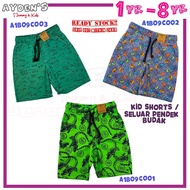 AYDEN'S Kids Shorts Seluar Budak Dinosaur Design