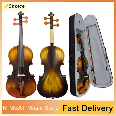 AV-E310 Acoustic EQ Violin 4/4 Violin Solid Wood Matte EQ Electric Acoustic Violin Fiddle With Case 