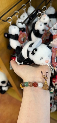 Beijing Wildlife Park Souvenir Backpack Accessory
