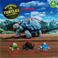 Asari 2 Store Japanese Version Gashapon Mountain Peak Turtle