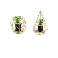 Pokok Kaktus Hiasan Viral Gold Pot - Stylish Nordic Style ARTIFICIAL CACTUS & SUCCULENT