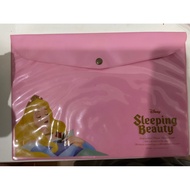 B5 File Authentic Disney Product