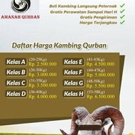 Qurban Kambing Berkwalitas 2025 Gratis Ongkir & Pemeliharaan Lokasi Merr rungkut surabaya