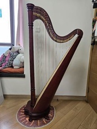 Salvi ANA Harp 40 strings