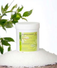 Vente Lemongrass & Green Tea Salt Soak ผลิตภัณฑ์ผสมน้ำแช่เท้า 1Kg.