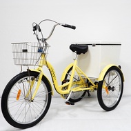 Adult Pedal Tricycle Maldives Hotel Special Tricycle Rustproof Aluminum Alloy Tricycle Retail