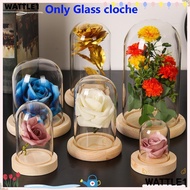 WTTLE Glass cloche Terrarium Tabletop Plants Glass Vase Terrarium Transparent Bottle Flower Storage box