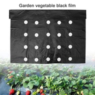 polycarbonate roofing sheet 5Holes Black Plastic Film Agricultural Vegetable Plants Grow Greenhouse