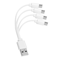 Kabel Pengecas Cepat USB ke USB C 2A 1 Pek, Kord Pengecas USB A ke Jenis C 4 dalam 1 untuk Bateri AA