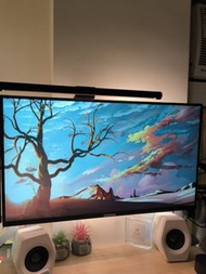 27" 2k 75Hz IPS Monitor