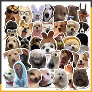 LovinlandPet 1pcs dog emoticon funny creative diysticker pet toy