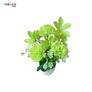 FR-C682 C684 Pot Tanaman Bunga Lily Artificial Dekorasi Rumah / Tanaman Hias Plastik Pot Bunga Hias 