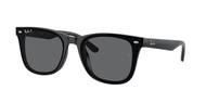 RAY-BAN - RB4391D 601/81 65 BLACK