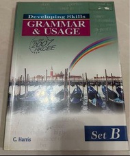Developing skills grammar and usage