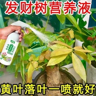 Welcome to Shop, Our Goods Are All Ready stock Likes to Order First Aid Fortune Tree Nutrient Liquid