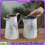 In stock-Watering Can Vase French Jug Home Decoration Garden Decoration Vase Flower Arrangement Iron Flower Making Gardening