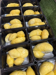 （Kl/Selangor only）Fresh Durian XO D24 dari Raub Pahang 400gram+ - （box）