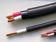 1C 38mm XLPE電線 4C22mm XLPE電纜 3C3.5MM電纜 華新麗華  3C5.5MM電纜 太平洋