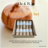 Prosperity Set - Ele & B. Pure Essential Oil 10 ml x 10 (Lavender, Peppermint, Eucalyptus, Tea Tree,