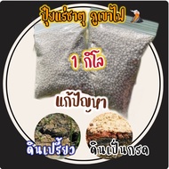 ปุ๋ยแร่ธาตุภูเขาไฟ ปุ๋ยอินทรีย์ ที่ เกษตรกร ชาวจันท์ นิยมใช้กัน  ช่วยรากเดินดี รักษาโรคดิน ต้นไม้แข็