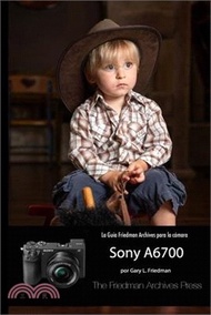 La Guía Friedman Archives Para La Sony A6700