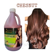 GS - CELLOPHANE HAIR TREATMENT COLOR - CHESNUT - HALF GALLON