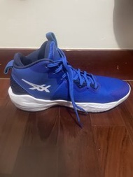 Asics 藍色籃球鞋