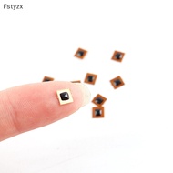 Fstyzx 5pcs Programmable 5*5mm Micro FPC NFC Ntag213 RFID Tag Sticker 1mm Reading Range SG