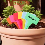 Plastic Gardening Plant Garden Flower Label Tag Penanda Pokok Waterproof Marking Nursery Marker Tanaman Pokok Bunga 植物标签