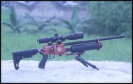 Mainan Anak Senapan Angin Pcp Predator Evolution 500Cc Terlaris
