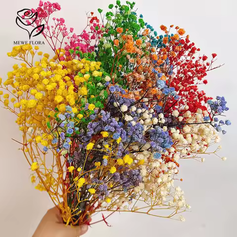 120g Eternal Gypsophila Dried Real Flowers Home Wedding Soft Decoration DIY Flower Arrangement Baby 