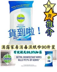 滴露家居消毒濕紙巾 (90片裝大包裝)