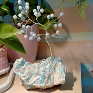 Aquamarine tree and Amazonite raw
