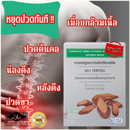 ส่งฟรี อาหารเสริมบำรุงกระดูกและข้อต่อ จบปัญหาสาเหตุการปวด ปวดหลัง ปวดบ่า ปวดไหล่ ปวดคอ ปวดข้อต่อ-ข้อขา เถาวัลย์เปรียง