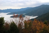 新竹旅遊【天天出發.一人成行】雪霸休閒農場.雲端上的觀霧.雲霧步道.野馬瞰山2日｜台中出發