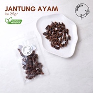 Boy Dehydrated Chicken HeartGood Dog Jerky Organicnatural